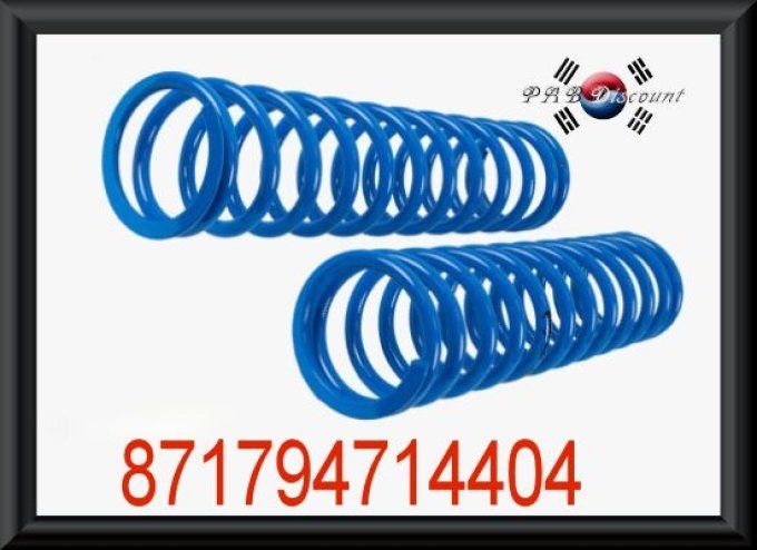 Ressort de suspension AR renforcés pour Rexton  MULTI-LINK