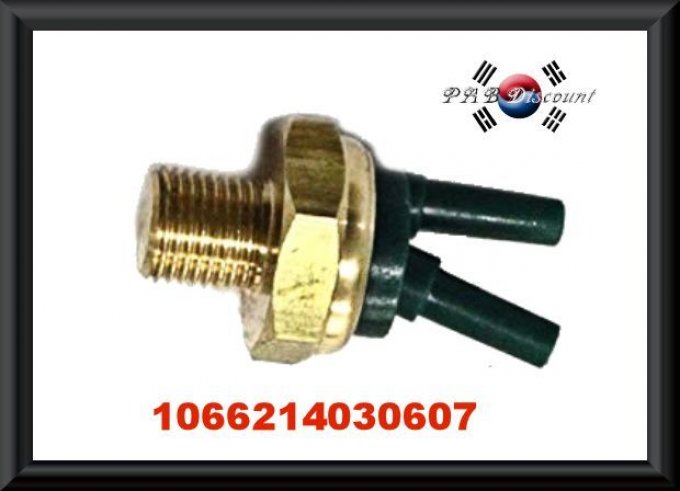 Soupape thermique sur culasse 1066214030607